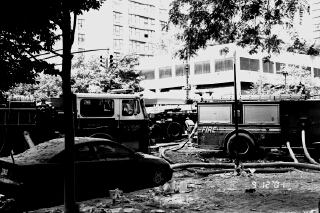 South End and Albany